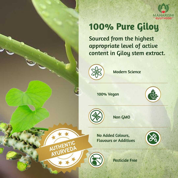 Giloy Ghan Vati Tablets1